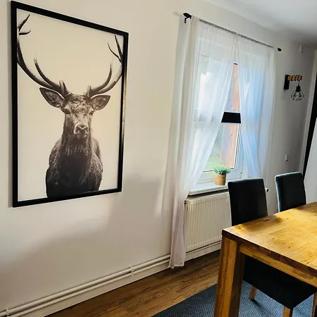 Apartamento Stylisches Ferienhaeuschen *